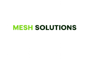 Logo Mesh Solutions
